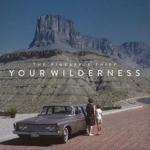 Your wilderness